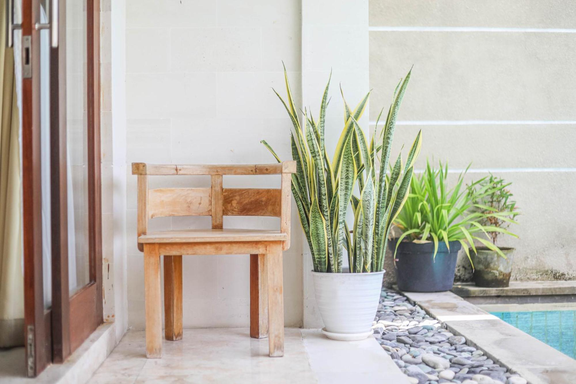 Villa Harmony Canggu Dış mekan fotoğraf